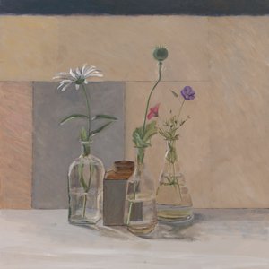 Røde hvite blå frøkapsler, 2008